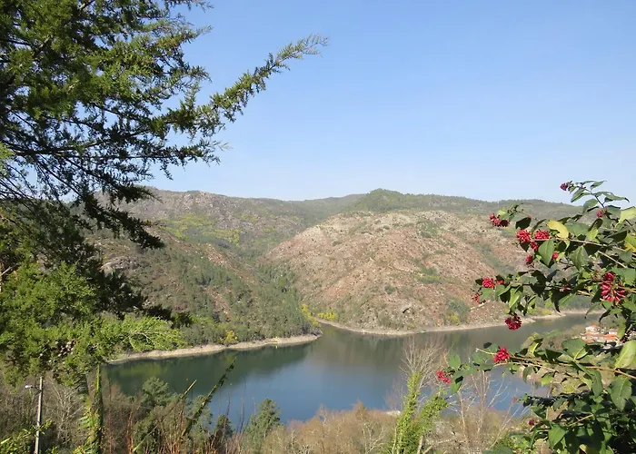 Casa Camelias * Vieira do Minho